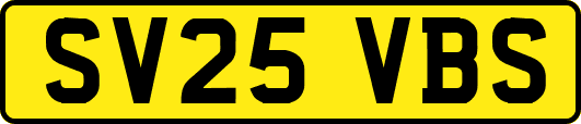 SV25VBS