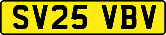SV25VBV