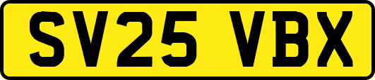 SV25VBX