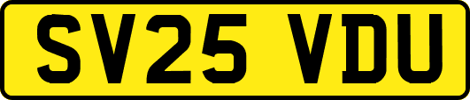 SV25VDU