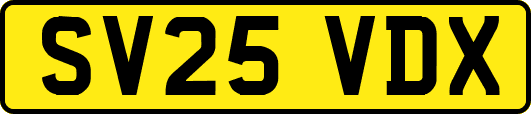 SV25VDX