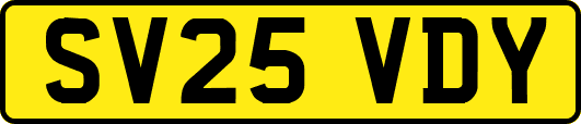 SV25VDY