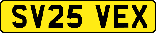 SV25VEX
