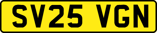 SV25VGN