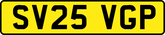 SV25VGP
