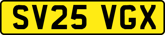 SV25VGX