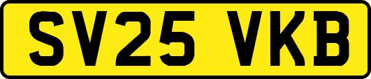 SV25VKB