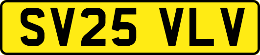 SV25VLV