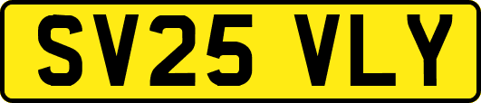 SV25VLY