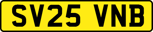 SV25VNB