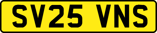 SV25VNS
