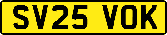SV25VOK