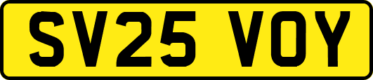 SV25VOY