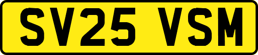 SV25VSM