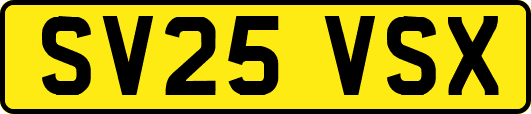 SV25VSX