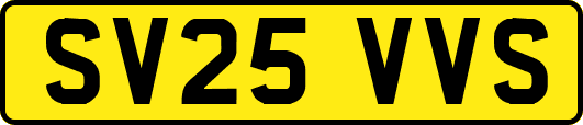 SV25VVS