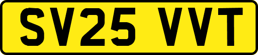 SV25VVT