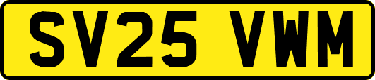 SV25VWM