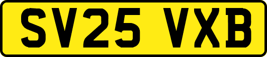 SV25VXB