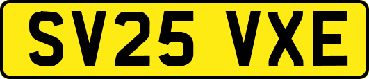 SV25VXE