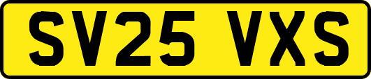 SV25VXS