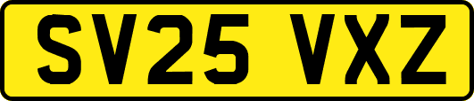 SV25VXZ