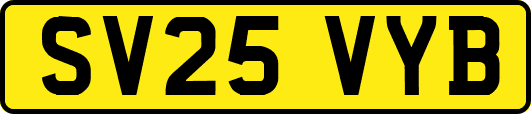 SV25VYB