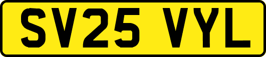 SV25VYL