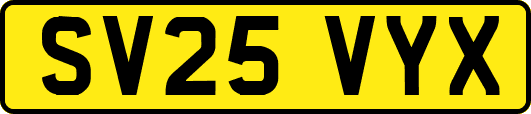 SV25VYX