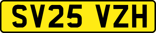 SV25VZH