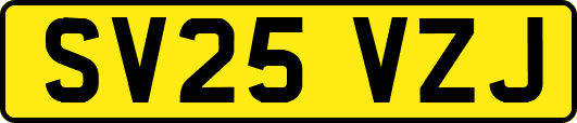 SV25VZJ