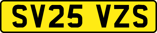SV25VZS