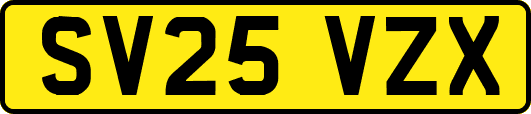 SV25VZX