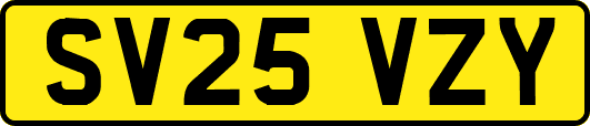 SV25VZY