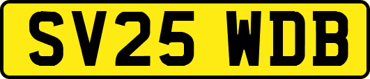 SV25WDB