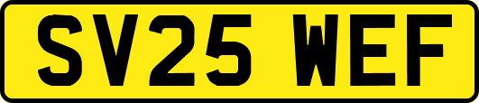 SV25WEF