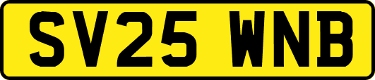SV25WNB