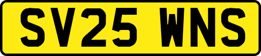 SV25WNS