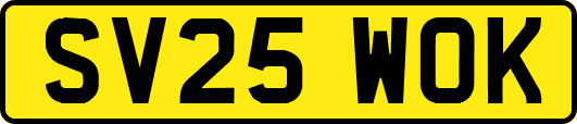 SV25WOK