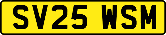 SV25WSM