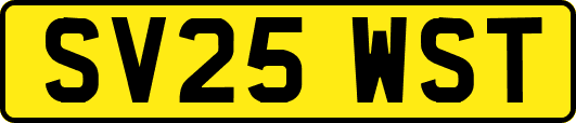 SV25WST