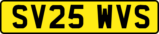 SV25WVS