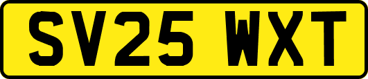 SV25WXT