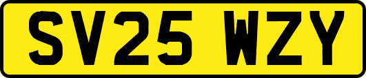 SV25WZY