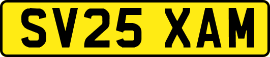 SV25XAM