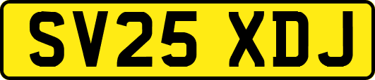 SV25XDJ