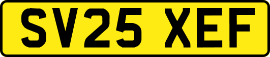 SV25XEF