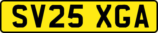 SV25XGA
