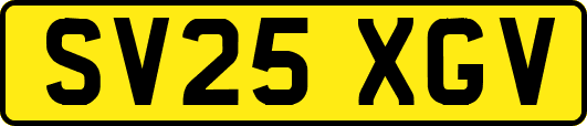 SV25XGV