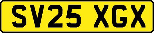 SV25XGX